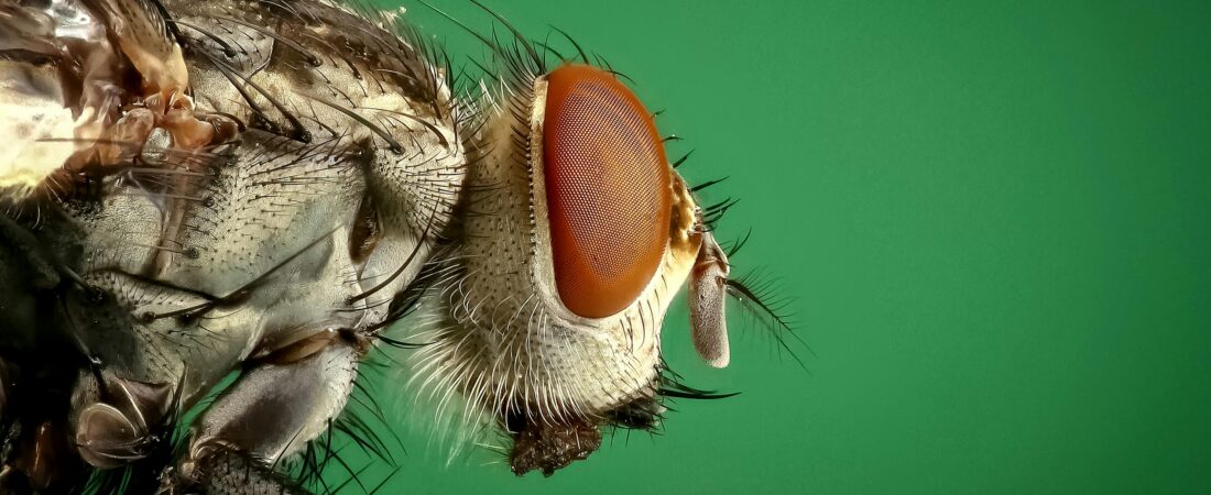 Compound Interest Explained: How to Turn Small Savings Into Big Wealth